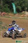 LUPI_04_11