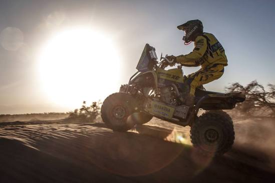 1011990_271072853057341_2101563601_n