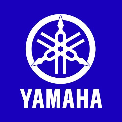 GRIZZLY 450 IRS, 2008 à 2009